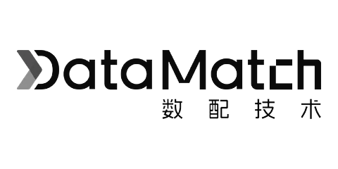 DataMatch のロゴ